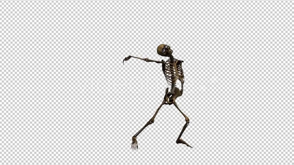 Skeleton Dance 2 Videohive 20659519 Motion Graphics Image 3