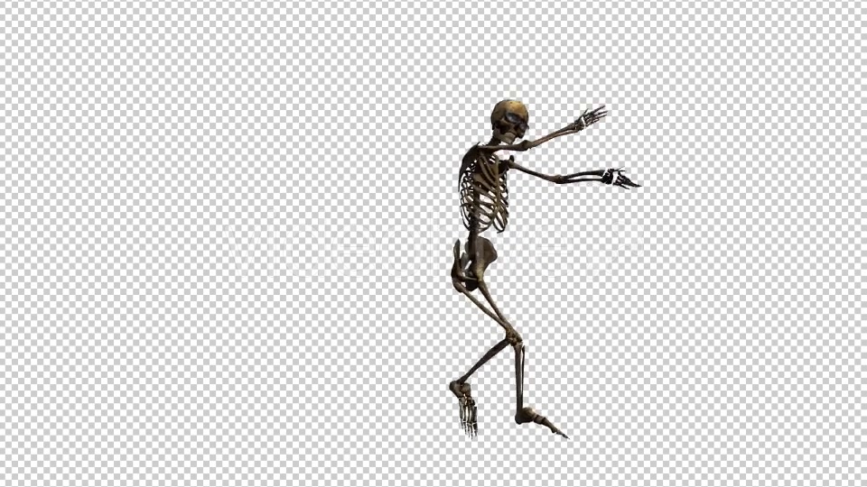 Skeleton Dance 2 Videohive 20659519 Motion Graphics Image 4