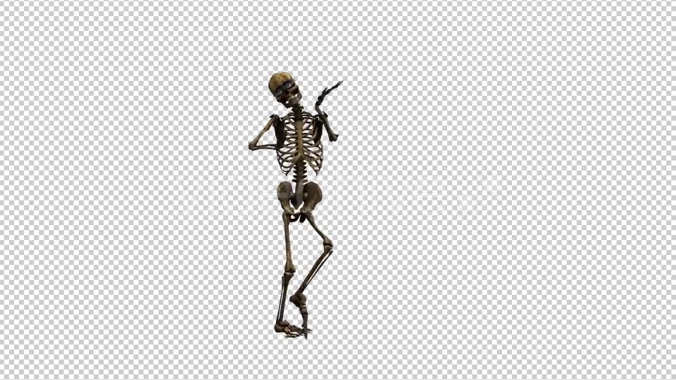 Skeleton Dance 2 Videohive 20659519 Motion Graphics Image 5