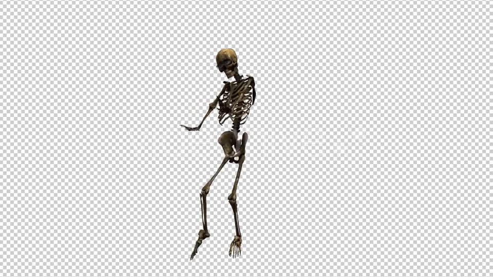 Skeleton Dance 2 Videohive 20659519 Motion Graphics Image 6