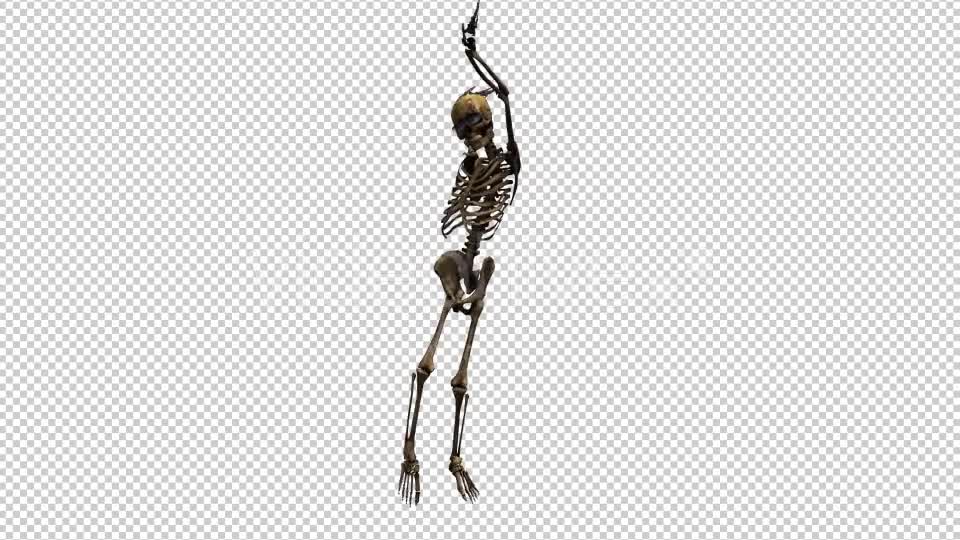 Skeleton Dance 2 Videohive 20659519 Motion Graphics Image 7