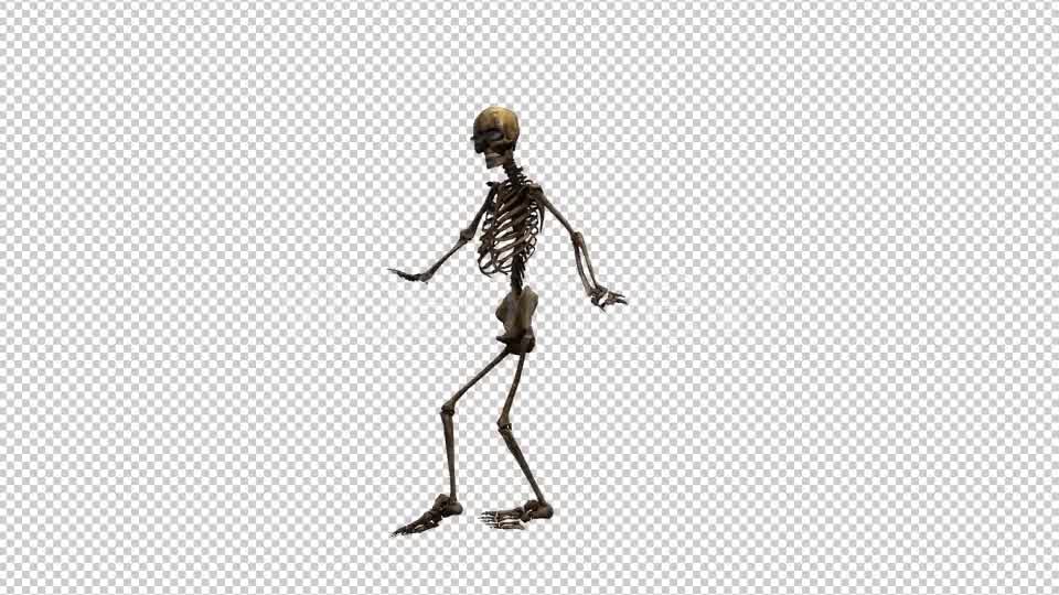 Skeleton Dance 2 Videohive 20659519 Motion Graphics Image 8