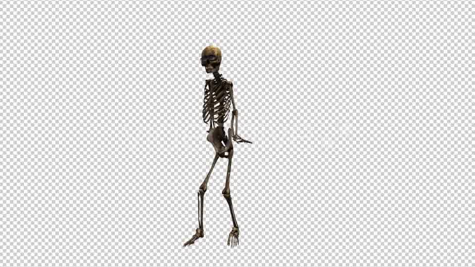 Skeleton Dance 2 Videohive 20659519 Motion Graphics Image 9