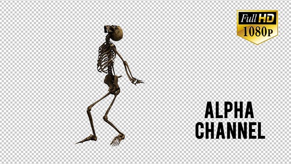 Skeleton Dance 2 - 20659519 Videohive Download