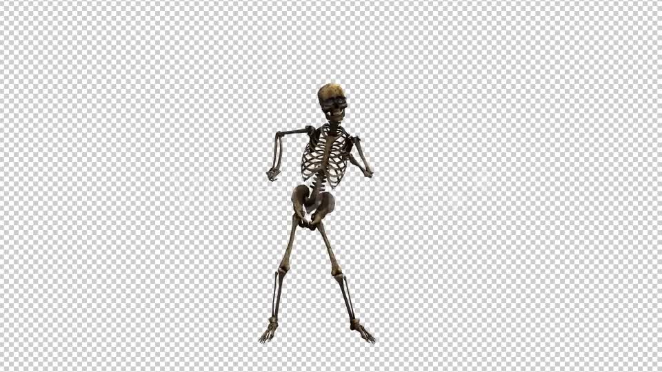 Skeleton Dance 3 Videohive 20662579 Motion Graphics Image 1