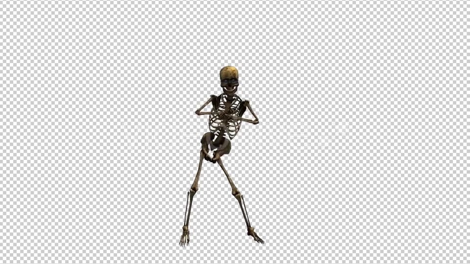 Skeleton Dance 3 Videohive 20662579 Motion Graphics Image 3