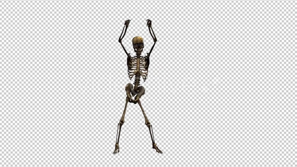 Skeleton Dance 3 Videohive 20662579 Motion Graphics Image 4