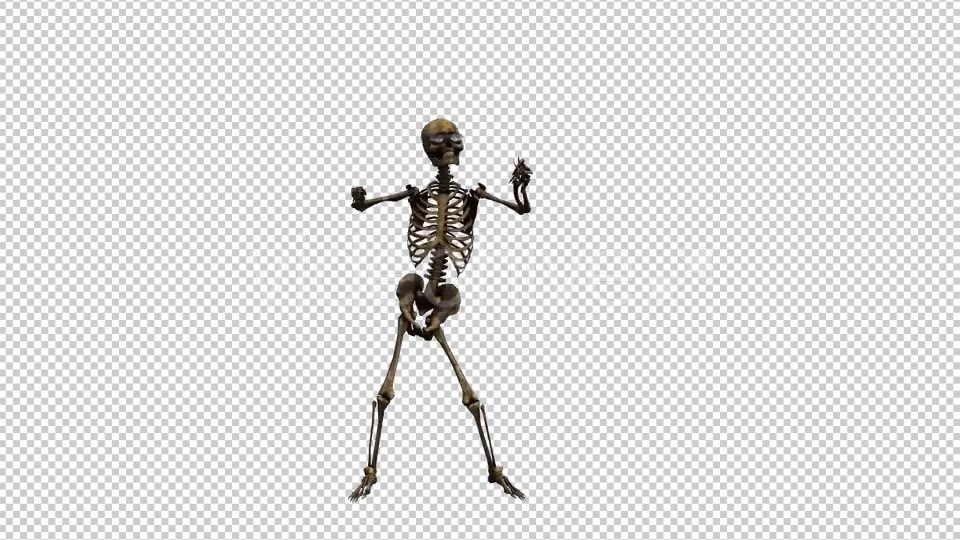 Skeleton Dance 3 Videohive 20662579 Motion Graphics Image 5