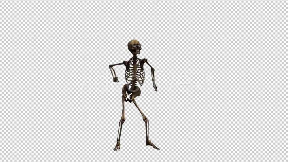 Skeleton Dance 3 Videohive 20662579 Motion Graphics Image 6