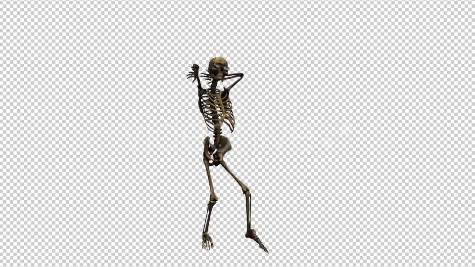 Skeleton Dance 3 Videohive 20662579 Motion Graphics Image 7