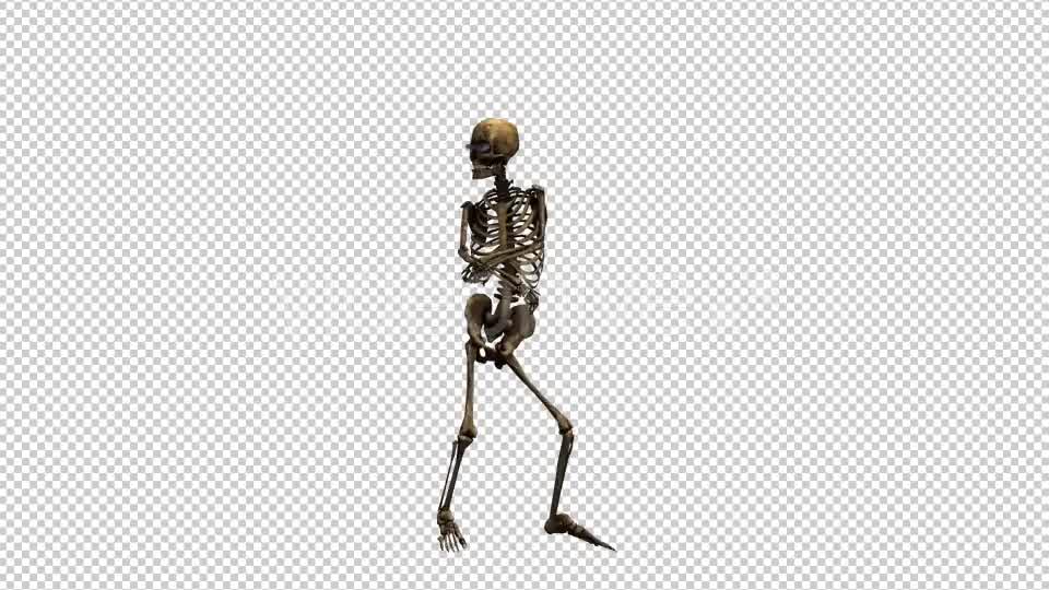 Skeleton Dance 3 Videohive 20662579 Motion Graphics Image 8