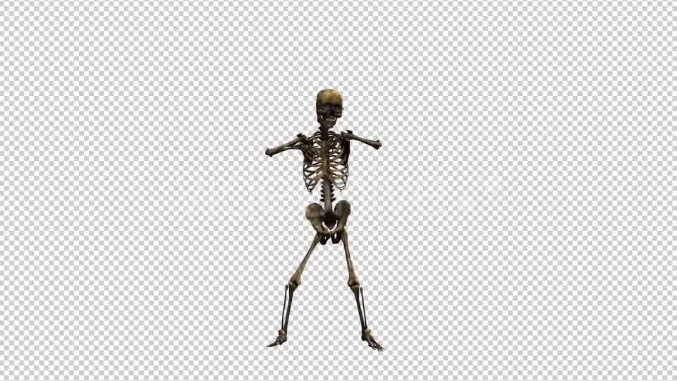 Skeleton Dance 3 Videohive 20662579 Motion Graphics Image 9