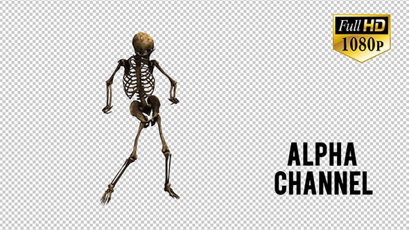 Skeleton Dance 3 - Videohive 20662579 Download