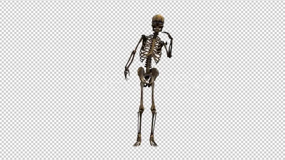 Skeleton Dance 5 Videohive 20662631 Motion Graphics Image 1