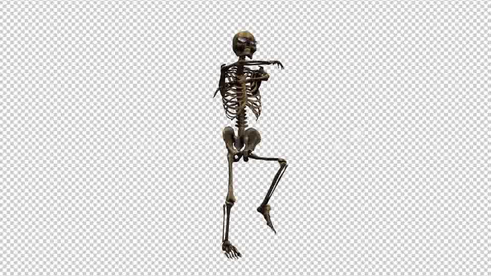 Skeleton Dance 5 Videohive 20662631 Motion Graphics Image 11