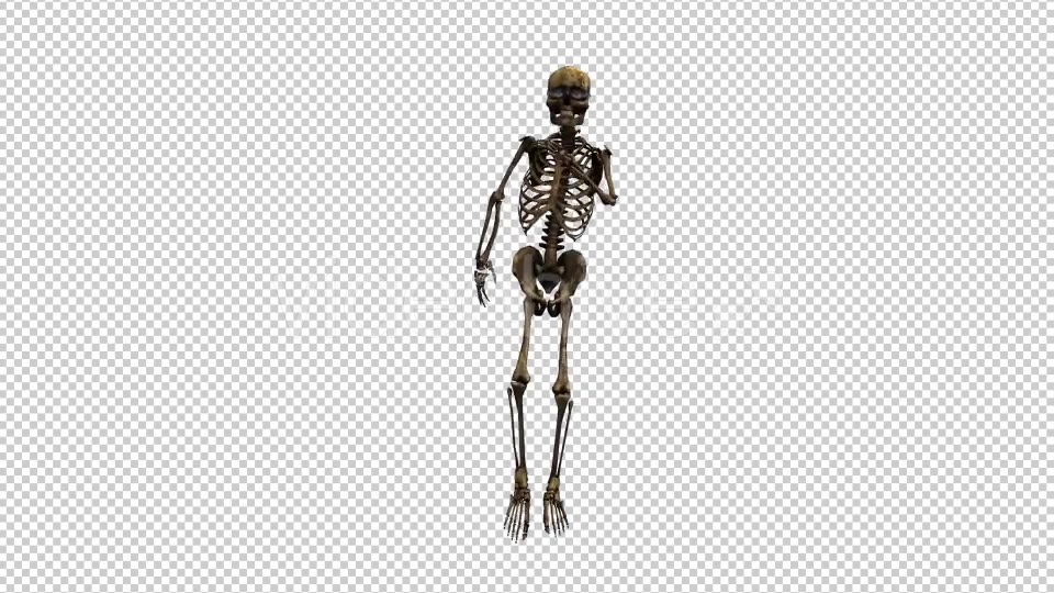 Skeleton Dance 5 Videohive 20662631 Motion Graphics Image 3