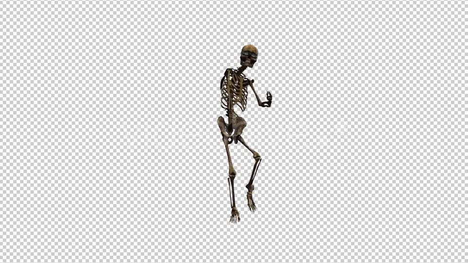 Skeleton Dance 5 Videohive 20662631 Motion Graphics Image 4