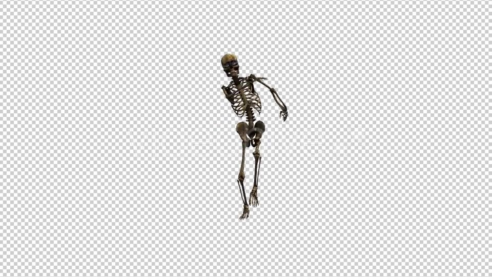 Skeleton Dance 5 Videohive 20662631 Motion Graphics Image 5