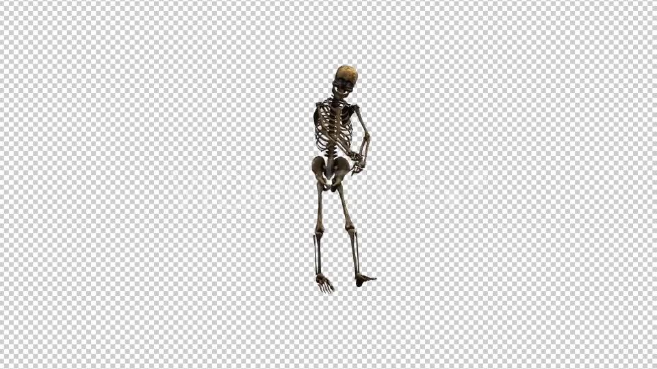 Skeleton Dance 5 Videohive 20662631 Motion Graphics Image 6