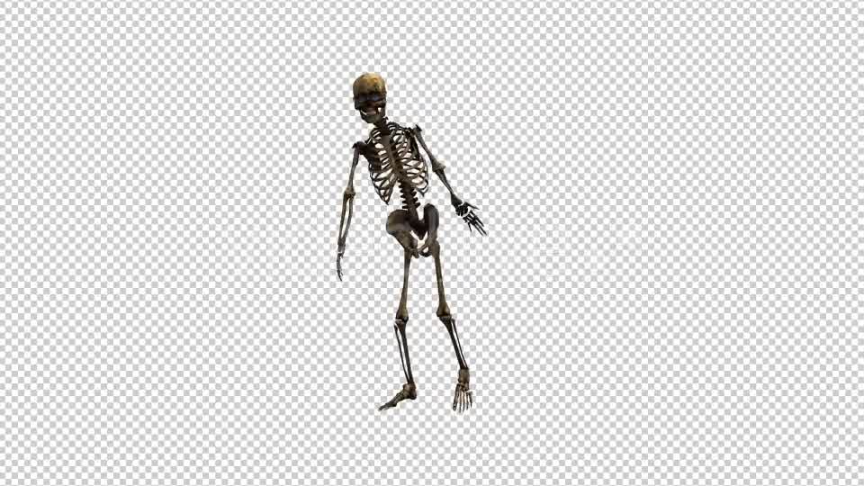 Skeleton Dance 5 Videohive 20662631 Motion Graphics Image 8