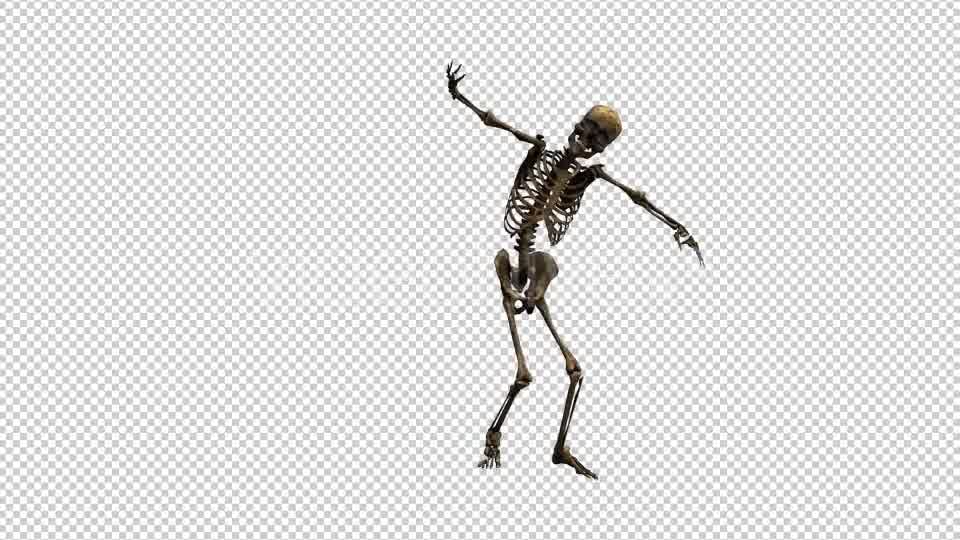 Skeleton Dance 5 Videohive 20662631 Motion Graphics Image 9