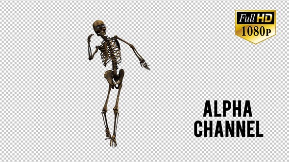 Skeleton Dance 5 - Download Videohive 20662631