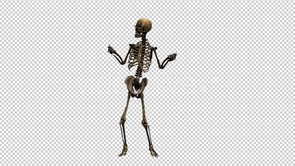 Skeleton Dance Videohive 20659510 Motion Graphics Image 1