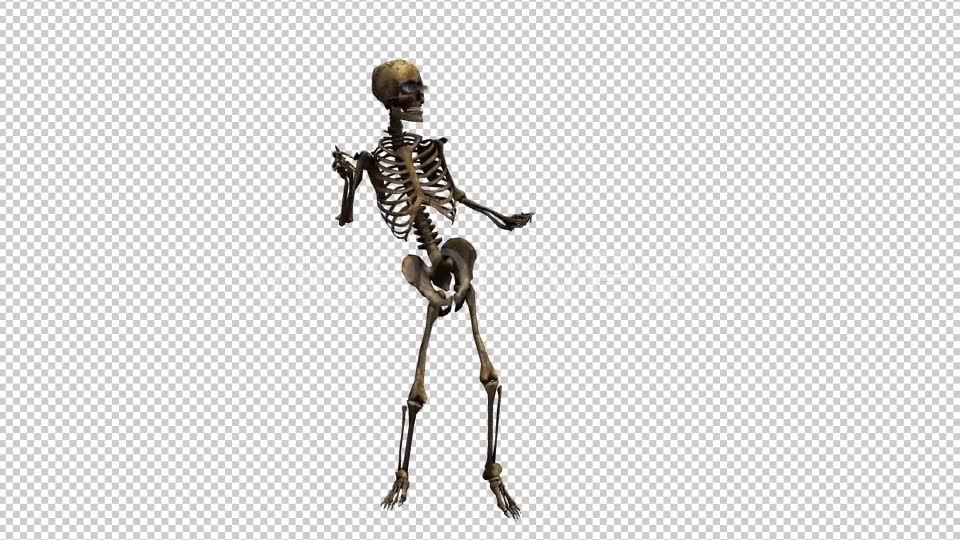 Skeleton Dance Videohive 20659510 Motion Graphics Image 2