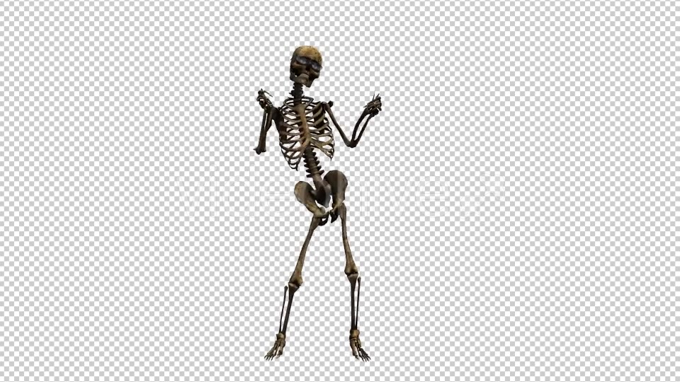 Skeleton Dance Videohive 20659510 Motion Graphics Image 3
