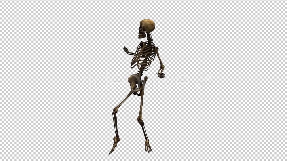 Skeleton Dance Videohive 20659510 Motion Graphics Image 4