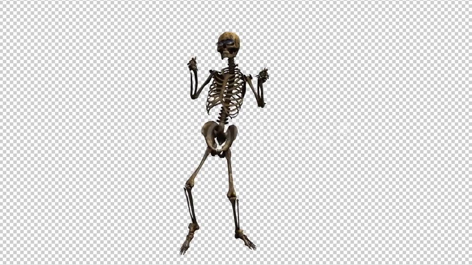 Skeleton Dance Videohive 20659510 Motion Graphics Image 5