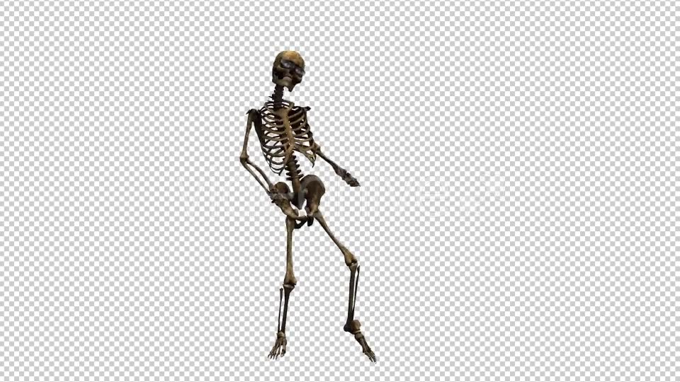 Skeleton Dance Videohive 20659510 Motion Graphics Image 6