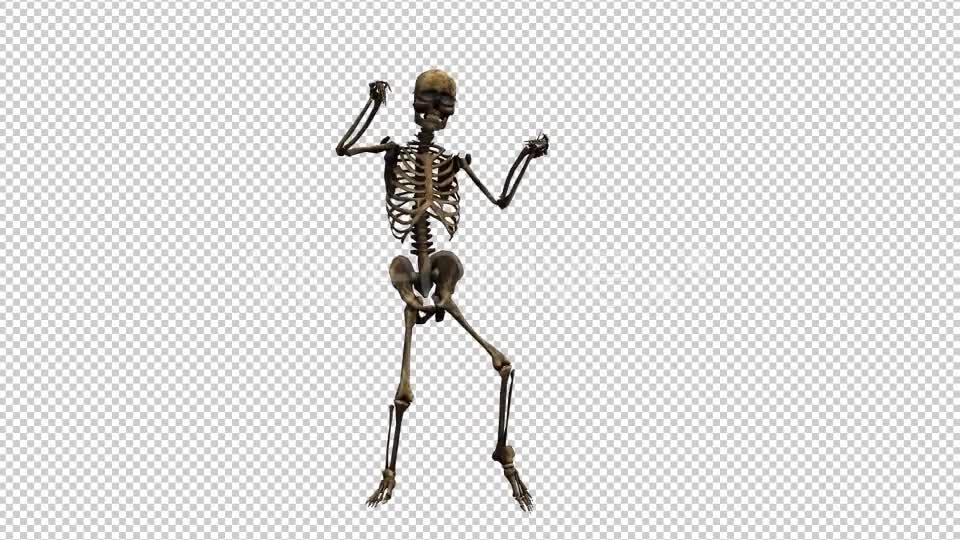 Skeleton Dance Videohive 20659510 Motion Graphics Image 7