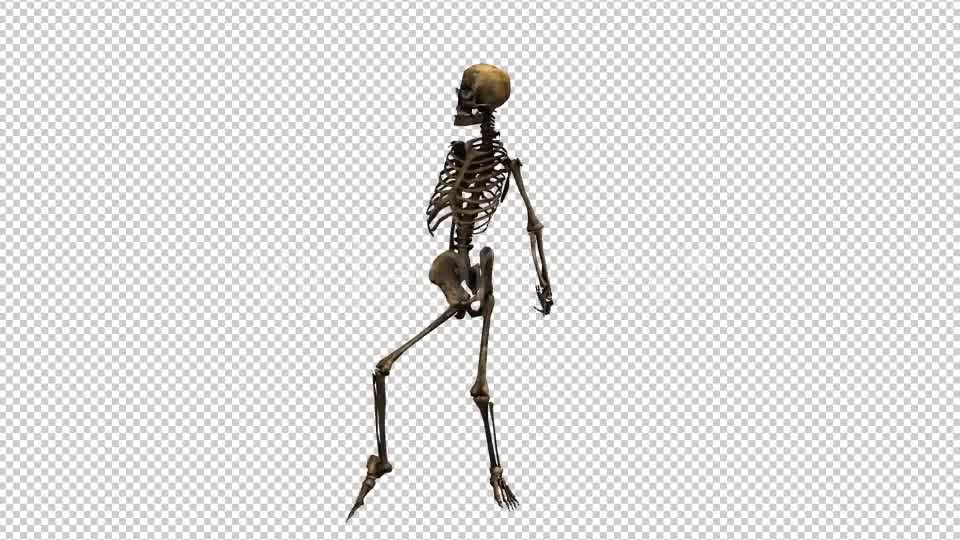 Skeleton Dance Videohive 20659510 Motion Graphics Image 8