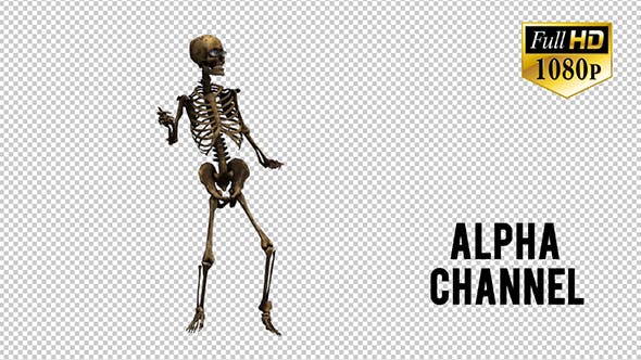 Skeleton Dance - Download Videohive 20659510