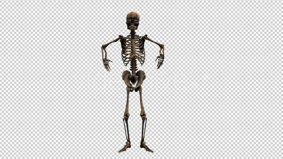 Skeleton Dance Looped 7 Videohive 20662657 Motion Graphics Image 1