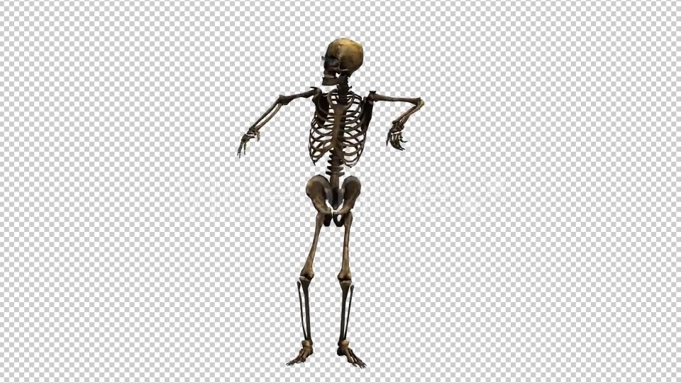 Skeleton Dance Looped 7 Videohive 20662657 Motion Graphics Image 3