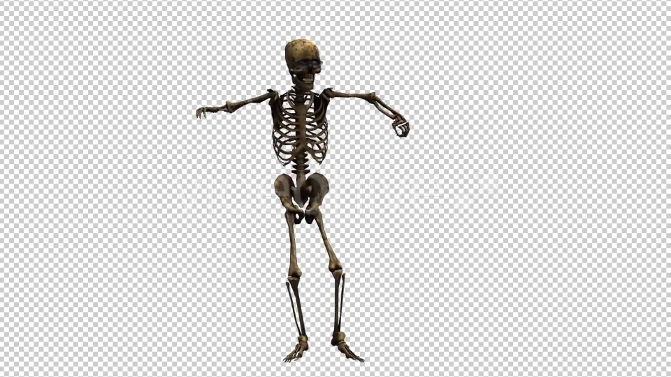 Skeleton Dance Looped 7 Videohive 20662657 Motion Graphics Image 4