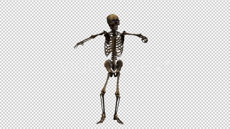 Skeleton Dance Looped 7 Videohive 20662657 Motion Graphics Image 5