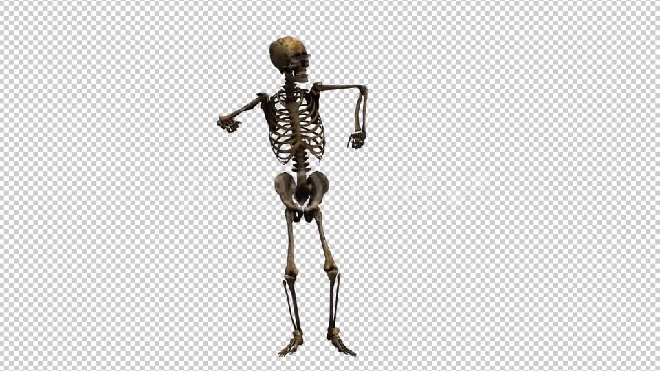 Skeleton Dance Looped 7 Videohive 20662657 Motion Graphics Image 6