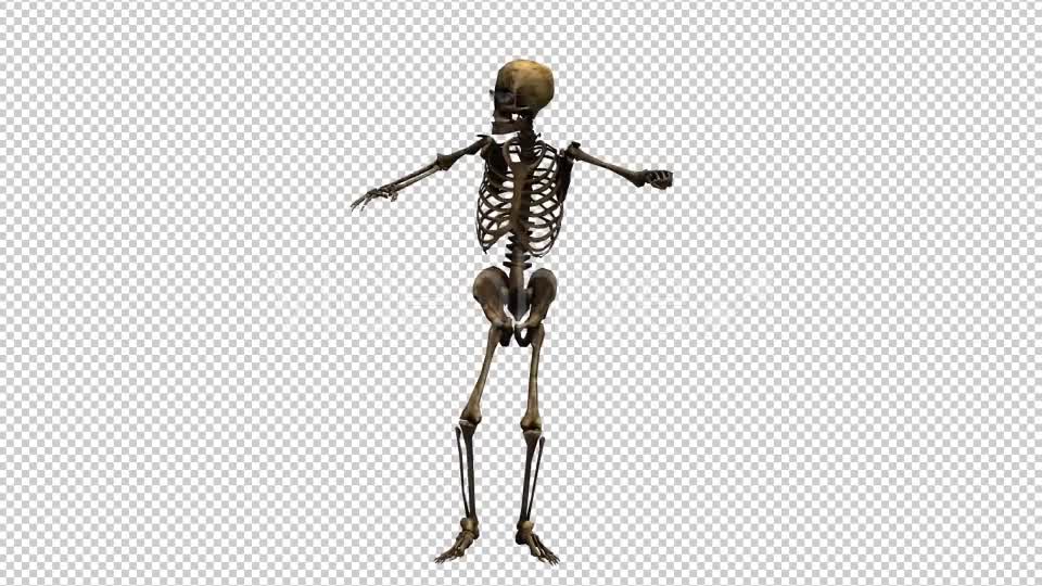 Skeleton Dance Looped 7 Videohive 20662657 Motion Graphics Image 7