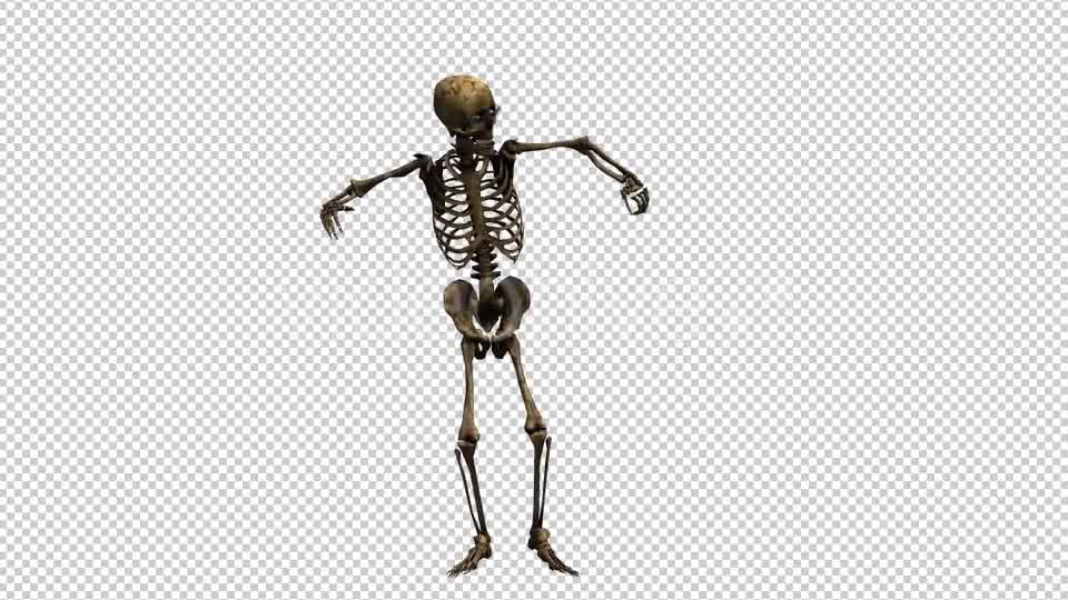 Skeleton Dance Looped 7 Videohive 20662657 Motion Graphics Image 8
