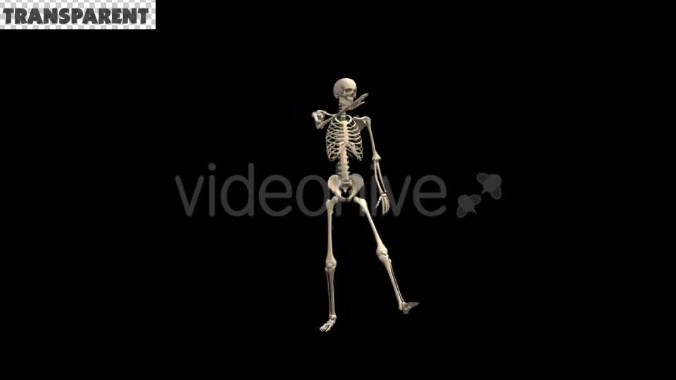 Skeleton Dubstep Dance Videohive 18594801 Motion Graphics Image 1