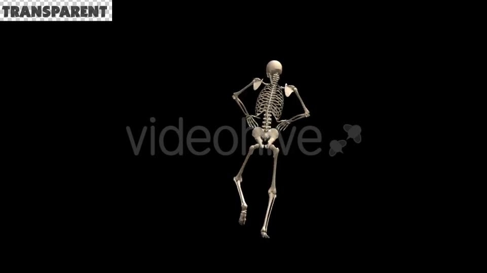 Skeleton Dubstep Dance Videohive 18594801 Motion Graphics Image 2