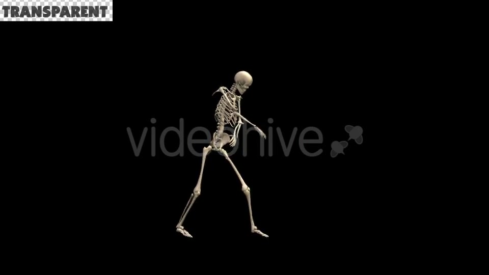 Skeleton Dubstep Dance Videohive 18594801 Motion Graphics Image 3