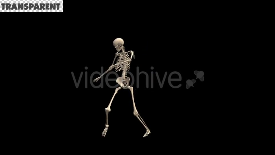 Skeleton Dubstep Dance Videohive 18594801 Motion Graphics Image 4