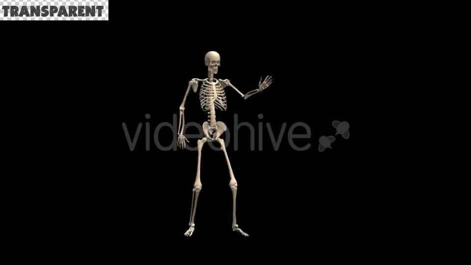 Skeleton Dubstep Dance Videohive 18594801 Motion Graphics Image 5