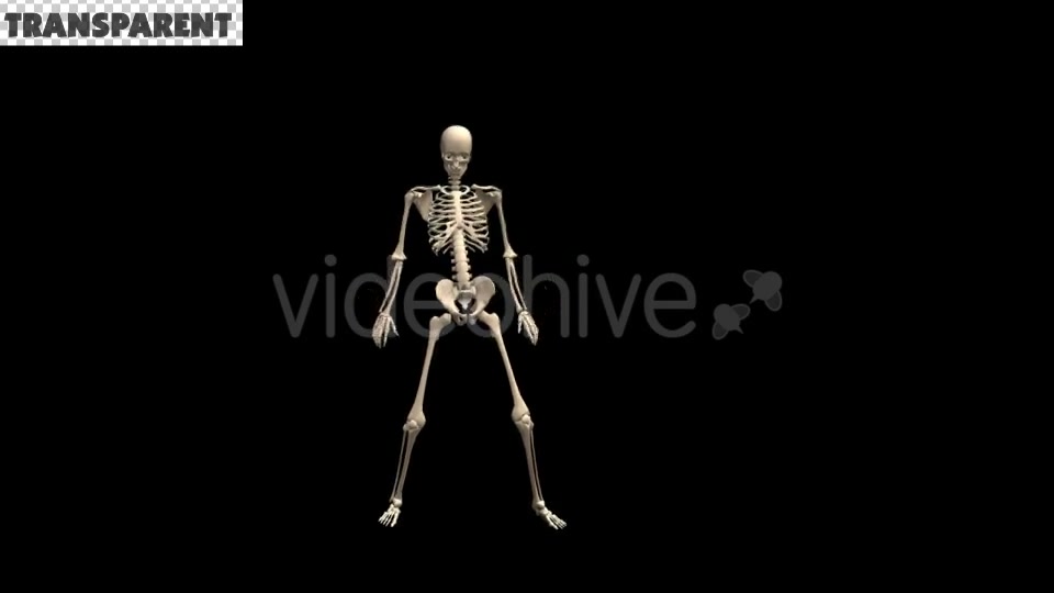 Skeleton Dubstep Dance Videohive 18594801 Motion Graphics Image 6