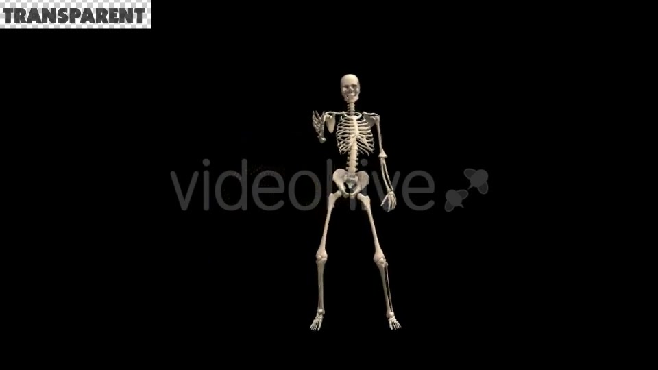 Skeleton Dubstep Dance Videohive 18594801 Motion Graphics Image 7