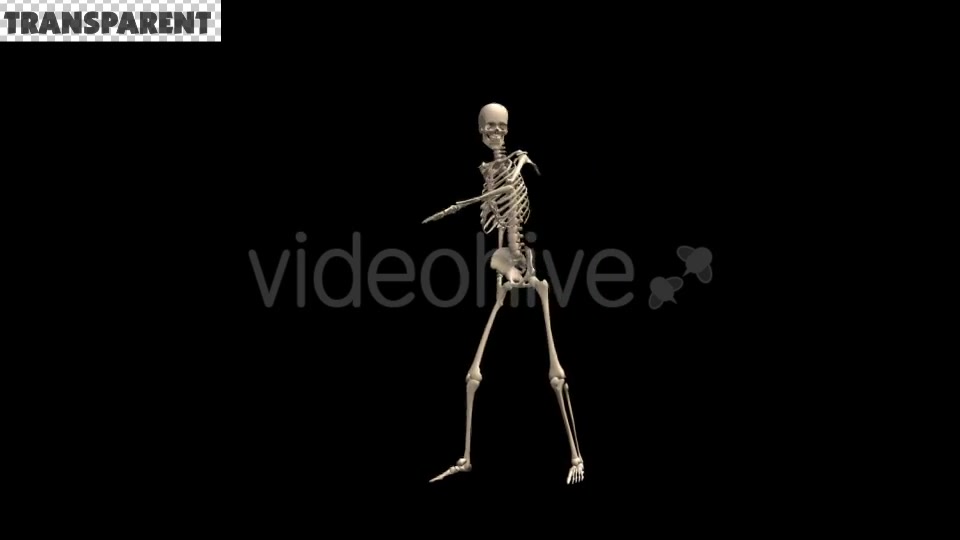 Skeleton Dubstep Dance Videohive 18594801 Motion Graphics Image 8